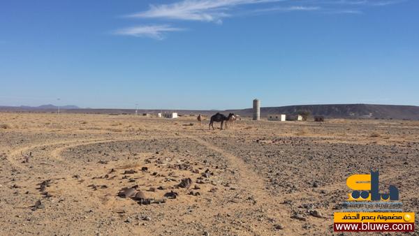 نقره لتكبير أو تصغير الصورة ونقرتين لعرض الصورة في صفحة مستقلة بحجمها الطبيعي