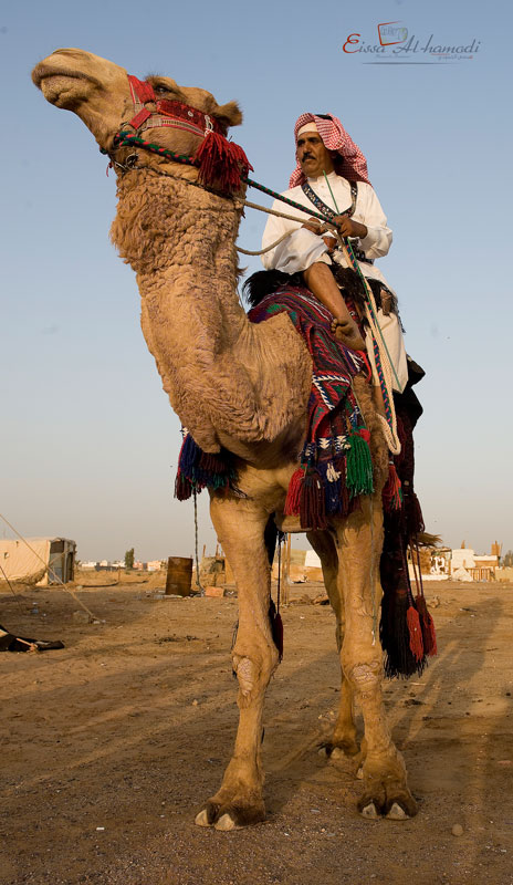 نقره لتكبير أو تصغير الصورة ونقرتين لعرض الصورة في صفحة مستقلة بحجمها الطبيعي