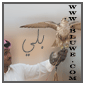 نايف عواد النجيدي