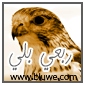 نادر البلوي