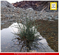 Click image for larger version

Name:	4227.jpg
Views:	1
Size:	245.2 كيلوبايت
ID:	1282226
