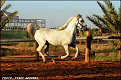 yusef  صوره