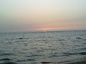 بحر املج
