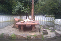 IMAG0241