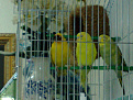 ٠٧٠٣٢٠٠٩١٥٠