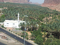العلا