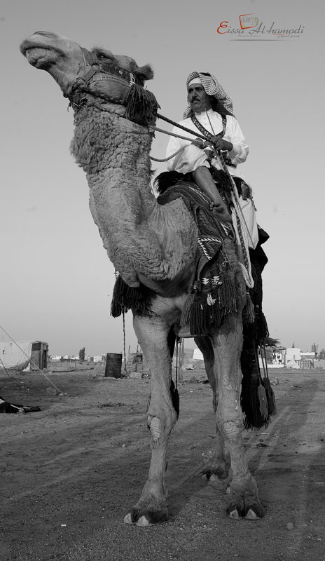 نقره لتكبير أو تصغير الصورة ونقرتين لعرض الصورة في صفحة مستقلة بحجمها الطبيعي